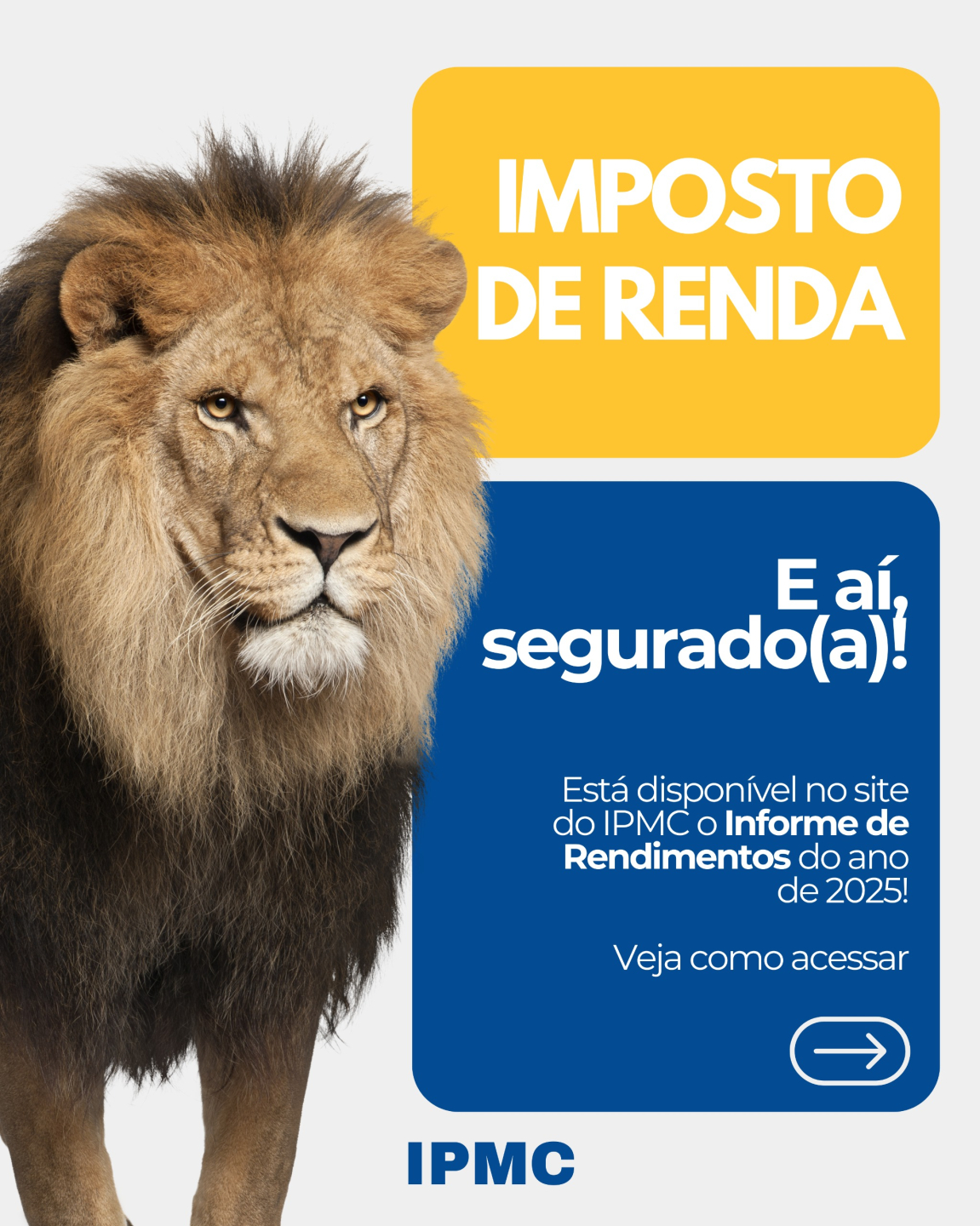 Informe de Rendimentos 2025 disponível!